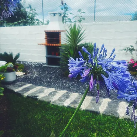 Casa Do Lavrador * Ponta Delgada