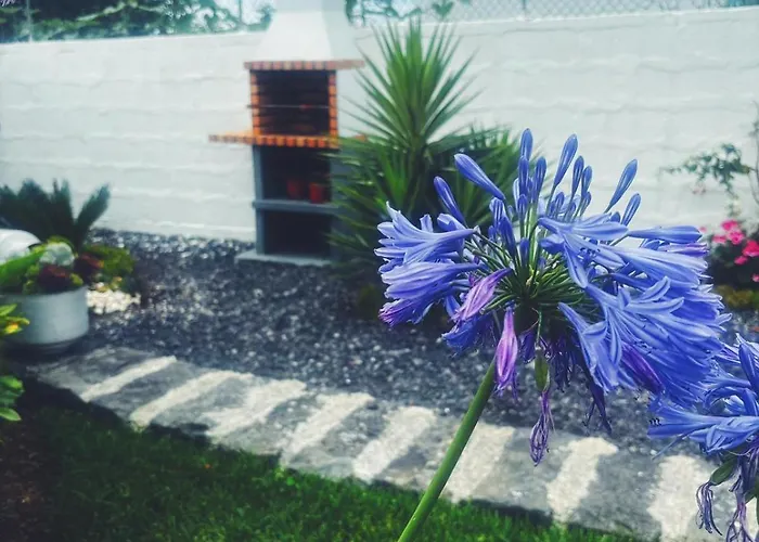 Casa Do Lavrador * 蓬塔德尔加达